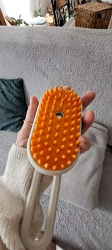 Foto de la reseña de C R.
