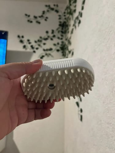 Foto de la reseña de R A.