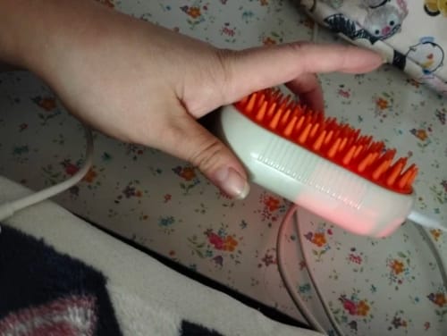 Foto de la reseña de I I.